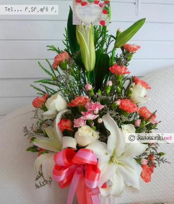 จัดส่ง  จ.กระบี่