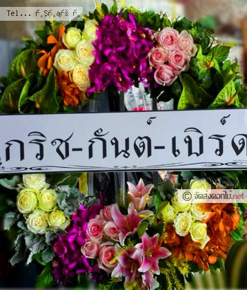 จัดส่ง  จ.กระบี่