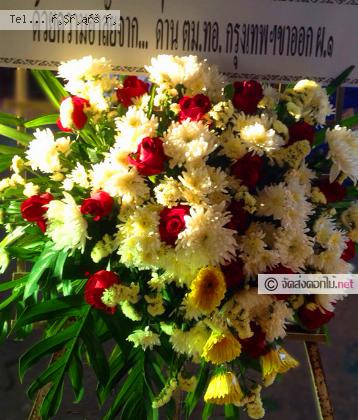 จัดส่ง  จ.กาฬสินธุ์