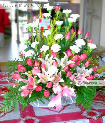จัดส่ง  จ.กาฬสินธุ์