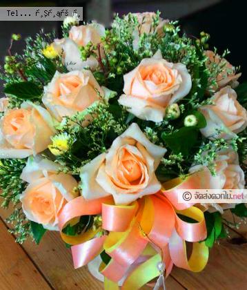 จัดส่ง  จ.กำแพงเพชร