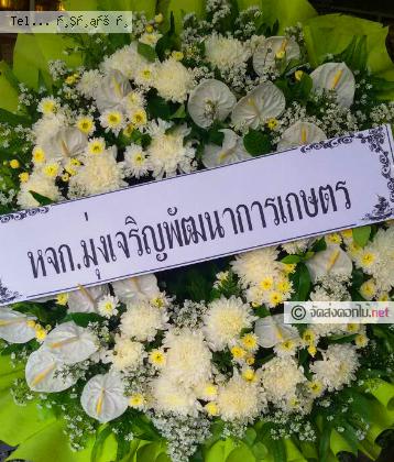 จัดส่ง  จ.กำแพงเพชร