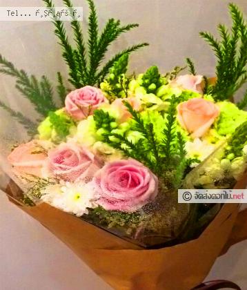 จัดส่ง  จ.กำแพงเพชร