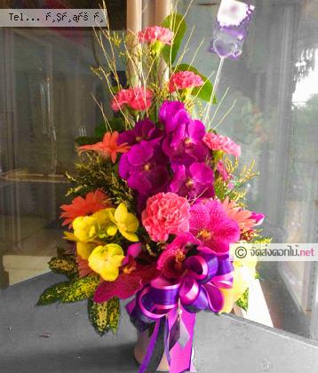 จัดส่ง  จ.กำแพงเพชร