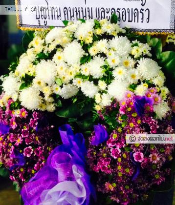 จัดส่ง  จ.ชัยนาท