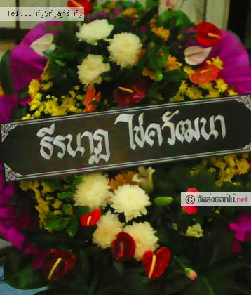 จัดส่ง  จ.ตราด