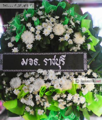 จัดส่ง  จ.ตราด