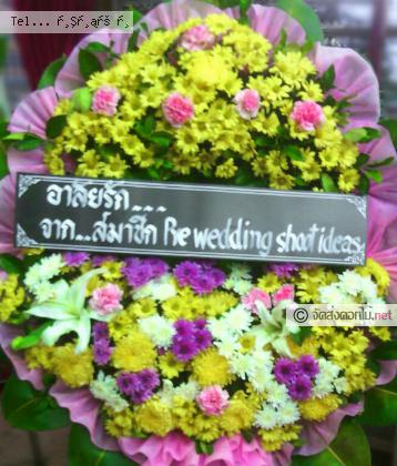จัดส่ง  จ.ตราด