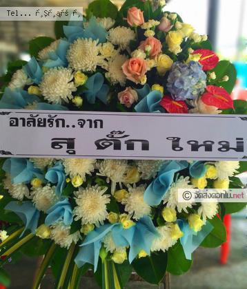 จัดส่ง  จ.ตาก