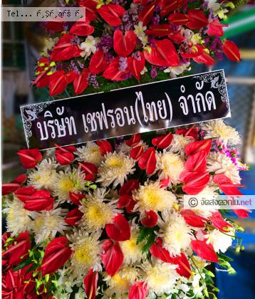 จัดส่ง  จ.น่าน