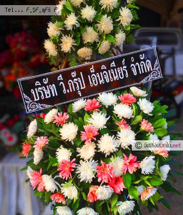 จัดส่ง  จ.น่าน