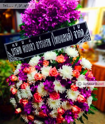 จัดส่ง  จ.น่าน