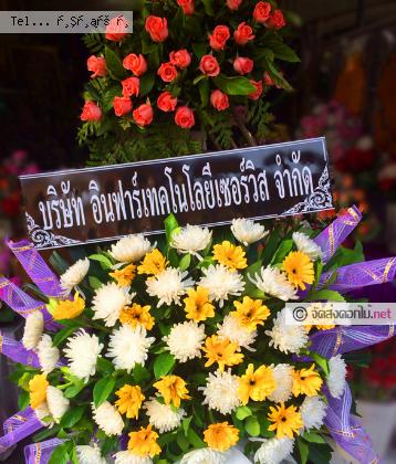 จัดส่ง  จ.น่าน