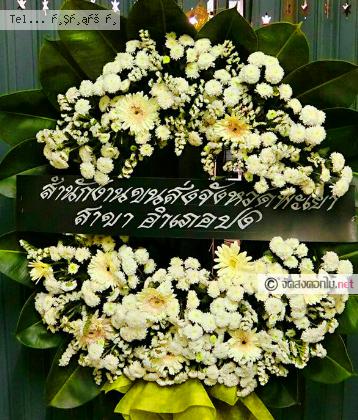 จัดส่ง  จ.มหาสารคาม