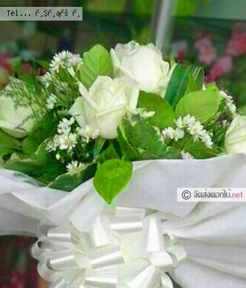 จัดส่ง  จ.ยโสธร