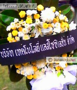 ส่งพวงหรีด   จ.ศรีสะเกษ 