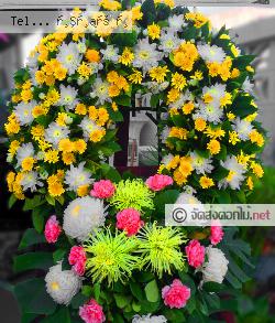 ส่งพวงหรีด   สงขลา 