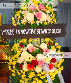 ส่งพวงหรีด   สงขลา 