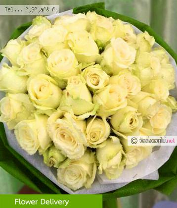 จัดส่ง  จ.สงขลา