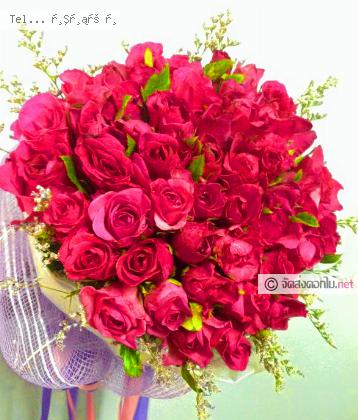 จัดส่ง  จ.สงขลา