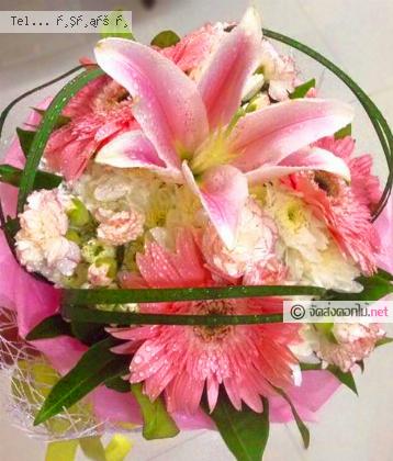 จัดส่ง  จ.สงขลา