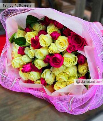จัดส่ง  จ.สระแก้ว